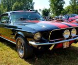American_Festival_2019 (53)