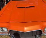 American_Festival_2019 (26)