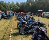 American_Festival_2019 (6)
