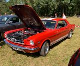 American_Festival_2019 (43)