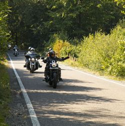 IMG_2581