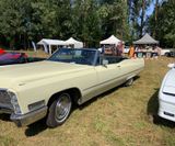American_Festival_2019 (34)