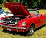 American_Festival_2019 (96)