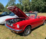 American_Festival_2019 (46)