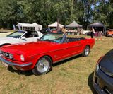 American_Festival_2019 (49)