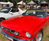 American_Festival_2019 (81)