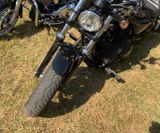 American_Festival_2019 (10)